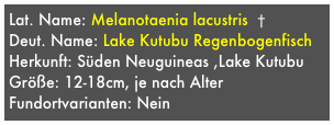Lat. Name: Melanotaenia lacustris  †
Deut. Name: Lake Kutubu Regenbogenfisch
Herkunft: Süden Neuguineas ,Lake Kutubu 
Größe: 12-18cm, je nach Alter
Fundortvarianten: Nein
